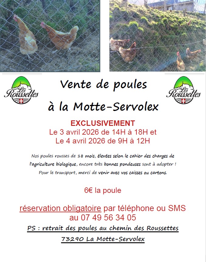 Vente de poules