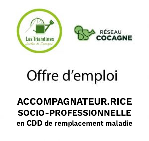 offre d'emploi